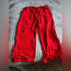 Wild Fable Scarlet Red Pants